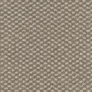 Dixie Home Soft Touch Carpet in Serene, , large
