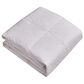 Blue Ridge Home Fashions Naples 700 Thread Count King Down Comforter in White, , large