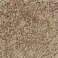 Shaw Detailed Elegance II Carpet in Twig, , large