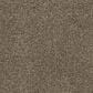 Karastan Upscale Living Carpet in Sequoia, , large