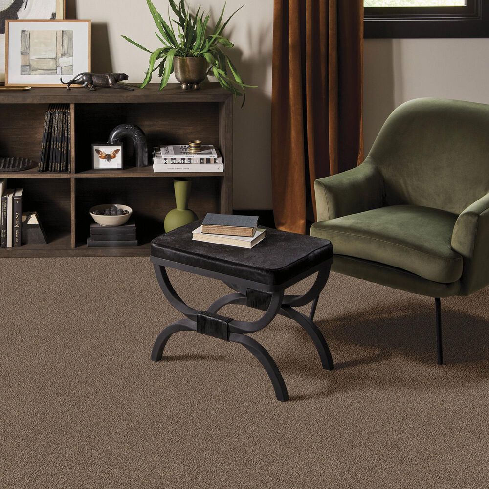 Anderson Tuftex Bali Carpet in Rocky Ridge, , large