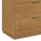 Delta Children Forever 4-Drawer Dresser with Changing Top in Acorn, , large
