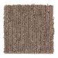 Mohawk Sweetwater Estate Carpet in Hickory Stick, , large