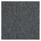 Shaw Multiplicity Carpet in Overflow, , large
