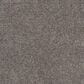 Dream Weaver Rustic Retreat II 4455 Carpet in Tuscanna, , large
