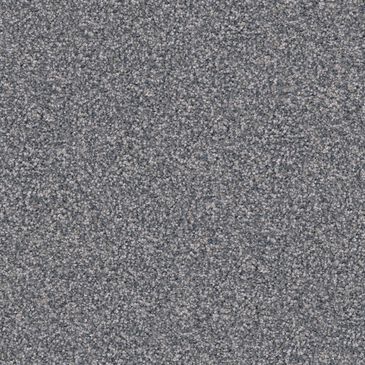 Dixie Home Herder Carpet in Pumi, , large