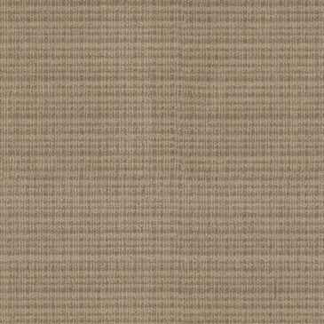 Anderson Tuftex Radiance Carpet in Canyon, , large