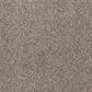 Mohawk Blended Moments Carpet in Hoot Owl, , large