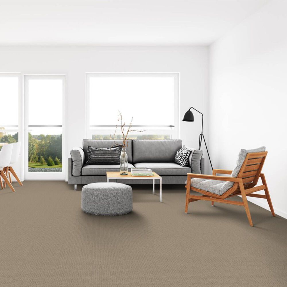 Dixie Home Galliard Carpet in Cork, , large