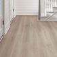 Shaw Pet Perfect Pavestone 7" x 48" Luxury Vinyl Plank, , large