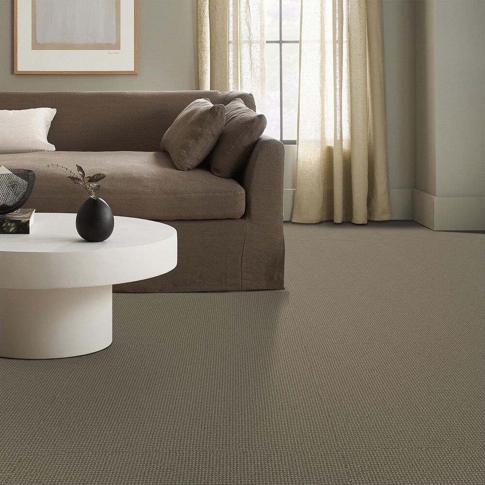 Anderson Tuftex Inspired Carpet in Mohair, , large