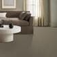 Anderson Tuftex Inspired Carpet in Mohair, , large