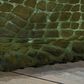 Nourison Couture BR700 5" x 7" Green Area Rug, , large