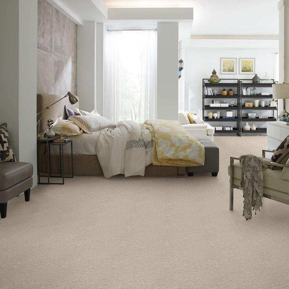 Anderson Tuftex New Wave Carpet in Misty Dawn NFM