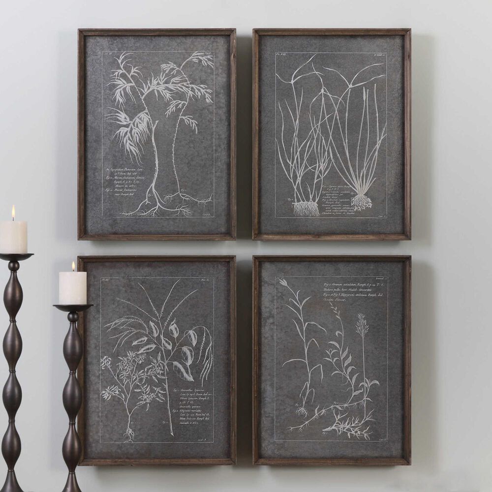 Uttermost Root Study Print Art (Set of 4), , large