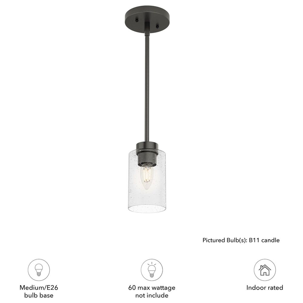 Hunter Hartland 19013 1-Light Mini Pendant in Noble Bronze, , large