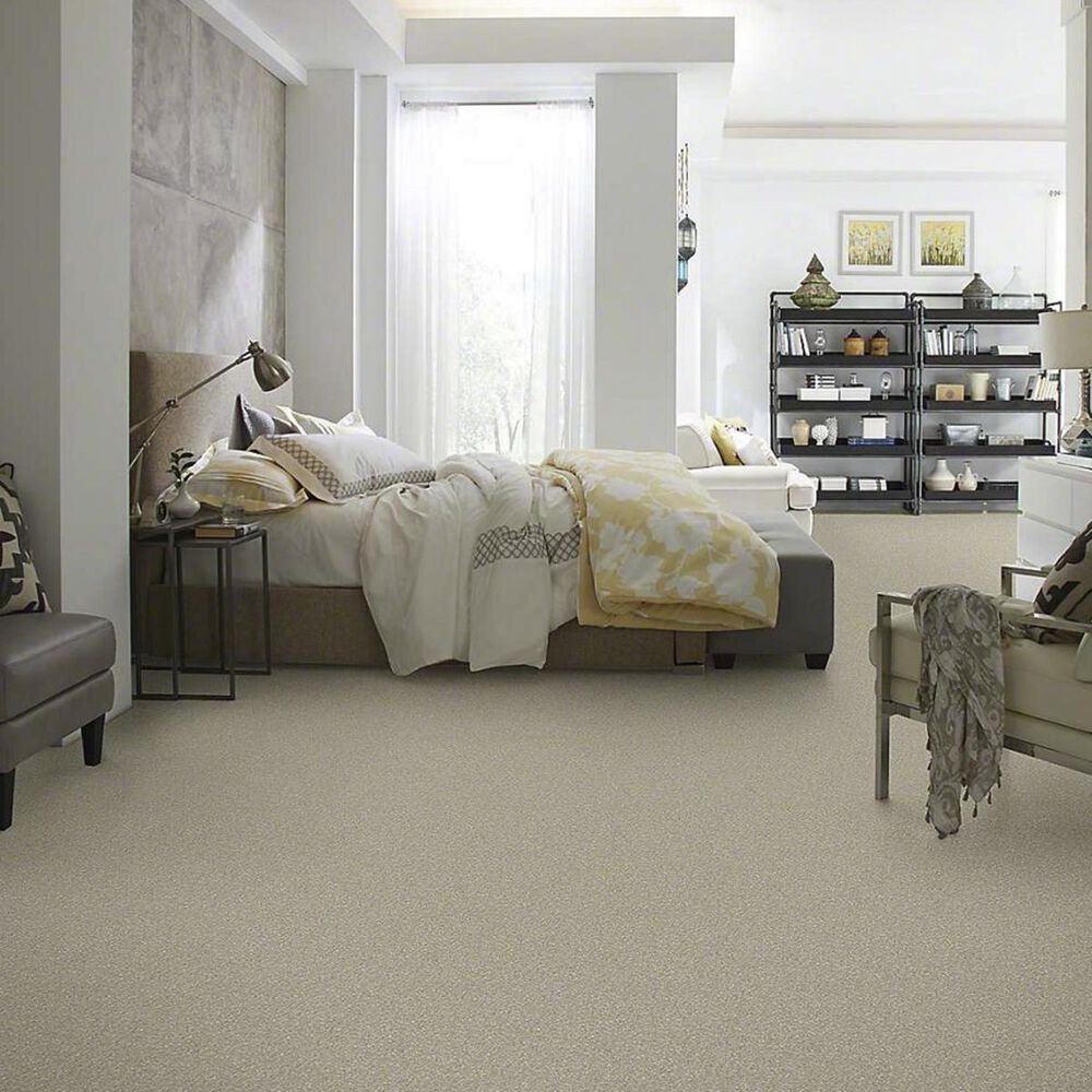 Shaw Barracan Classic I Carpet in Spruce, , large