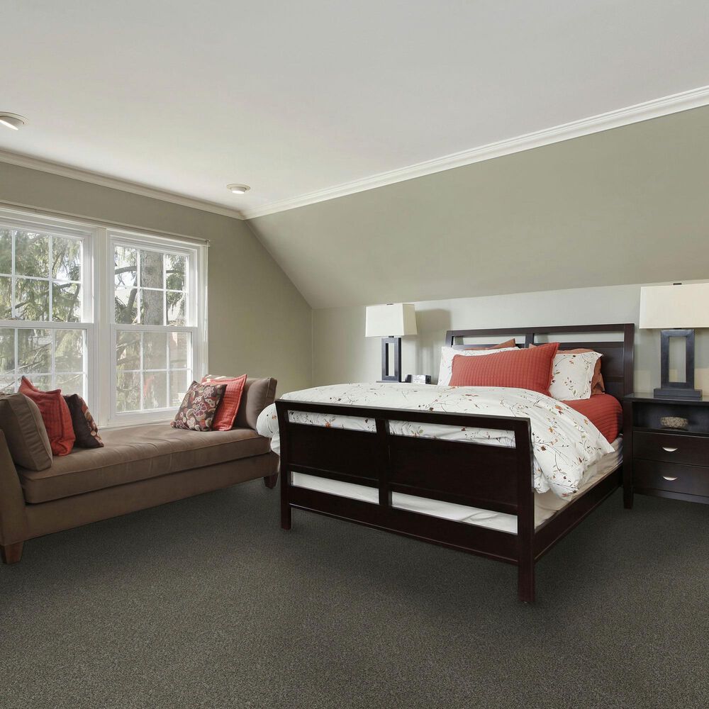 Dream Weaver Titan II Carpet in River Crest, , large
