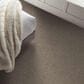 Shaw Grand Outlook Carpet in Pea Gravel, , large