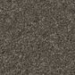 Anderson Tuftex Elegant Beauty Carpet in Highrise, , large