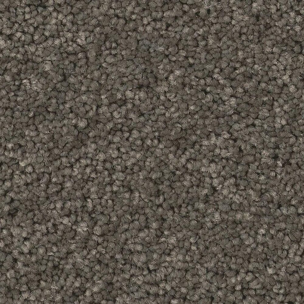 Anderson Tuftex Elegant Beauty Carpet in Highrise, , large