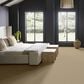 Anderson Tuftex Veranda Carpet in Greige, , large