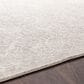 Surya Aisha AIS-2307 2"7" x 7"7" Light Gray and Off-White Runner, , large