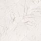MS International Kaya Calacatta Lucca 12" x 24" Polished Porcelain Tile, , large