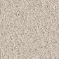 Philadelphia Champagne Taste II Carpet in Soft Sense, , large