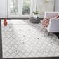 Safavieh Adirondack ADR132B-8 8" x 10" Ivory and Grey Area Rug, , large