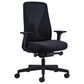 Raynor Group Launch Ergonomic Office Chair in Black, , large