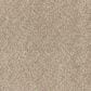Dixie Home Bolt Carpet in Bungalow, , large