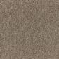 Dixie Home Bolt Carpet in Theatre, , large