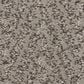 Anderson Tuftex Kit Carpet in Mindful, , large