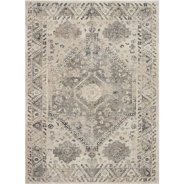 Nourison Fusion FSS11 5"4" x 7"4" Cream and Grey Area Rug, , large