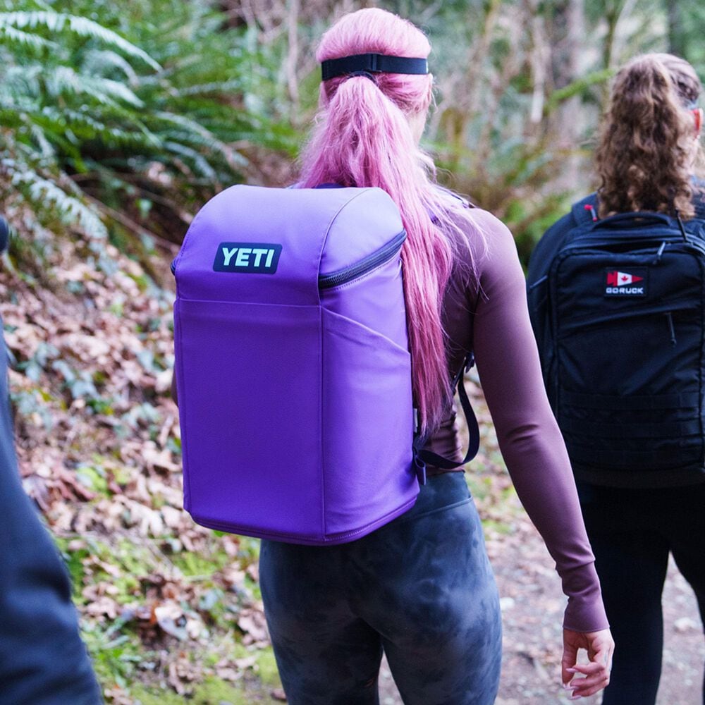 YETI Daytrip 20L Backpack in Pace Purple and Blue, , large