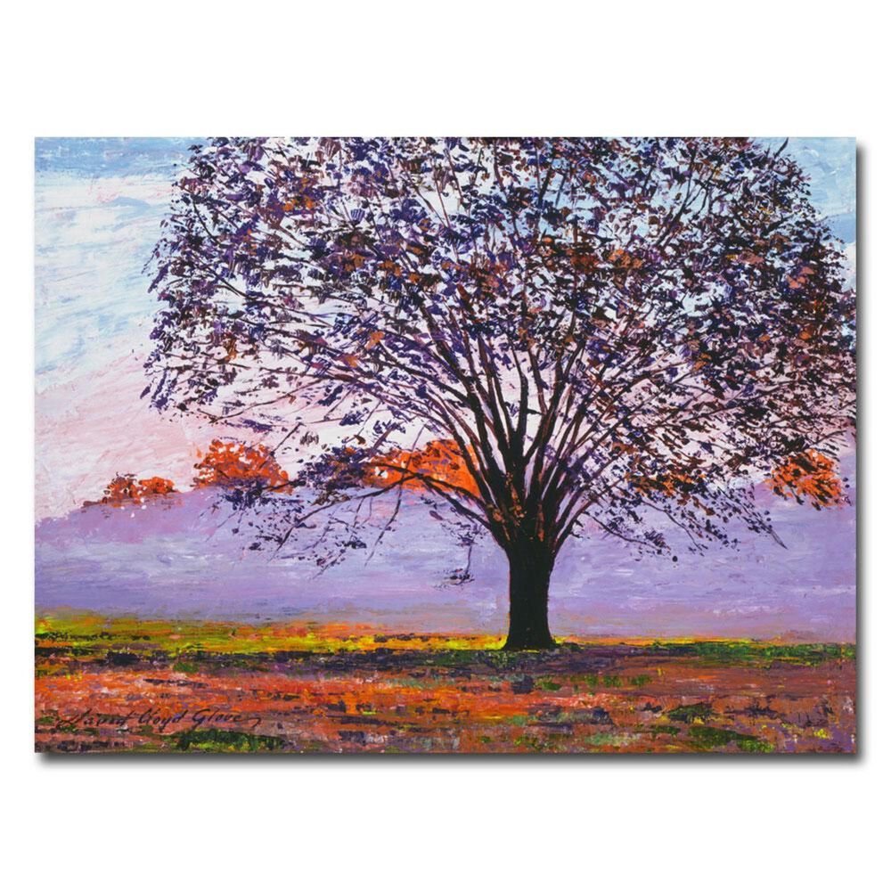 Timberlake Majestic Tree in Morning Mist, , large