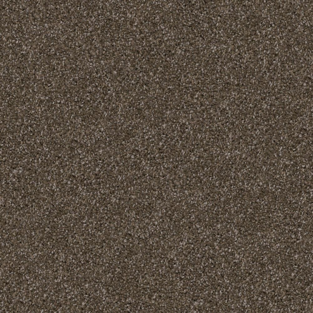 Dixie Home Guard Carpet in Dachshund, , large