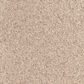 Dixie Home Bella Carpet in Treat, , large