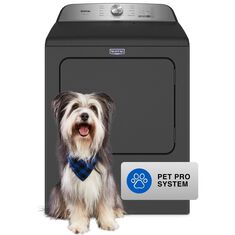 Maytag Pet Pro 7.0 Cu. Ft. Electric Dryer in Volcano Black