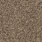Mohawk Diffurent Choice II Carpet in Legend, , large