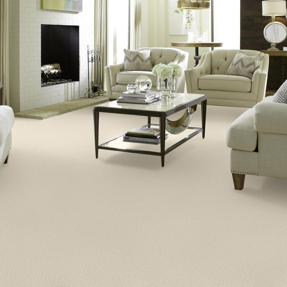 Shaw Detailed Statement Loop Carpet in China Pearl, , large