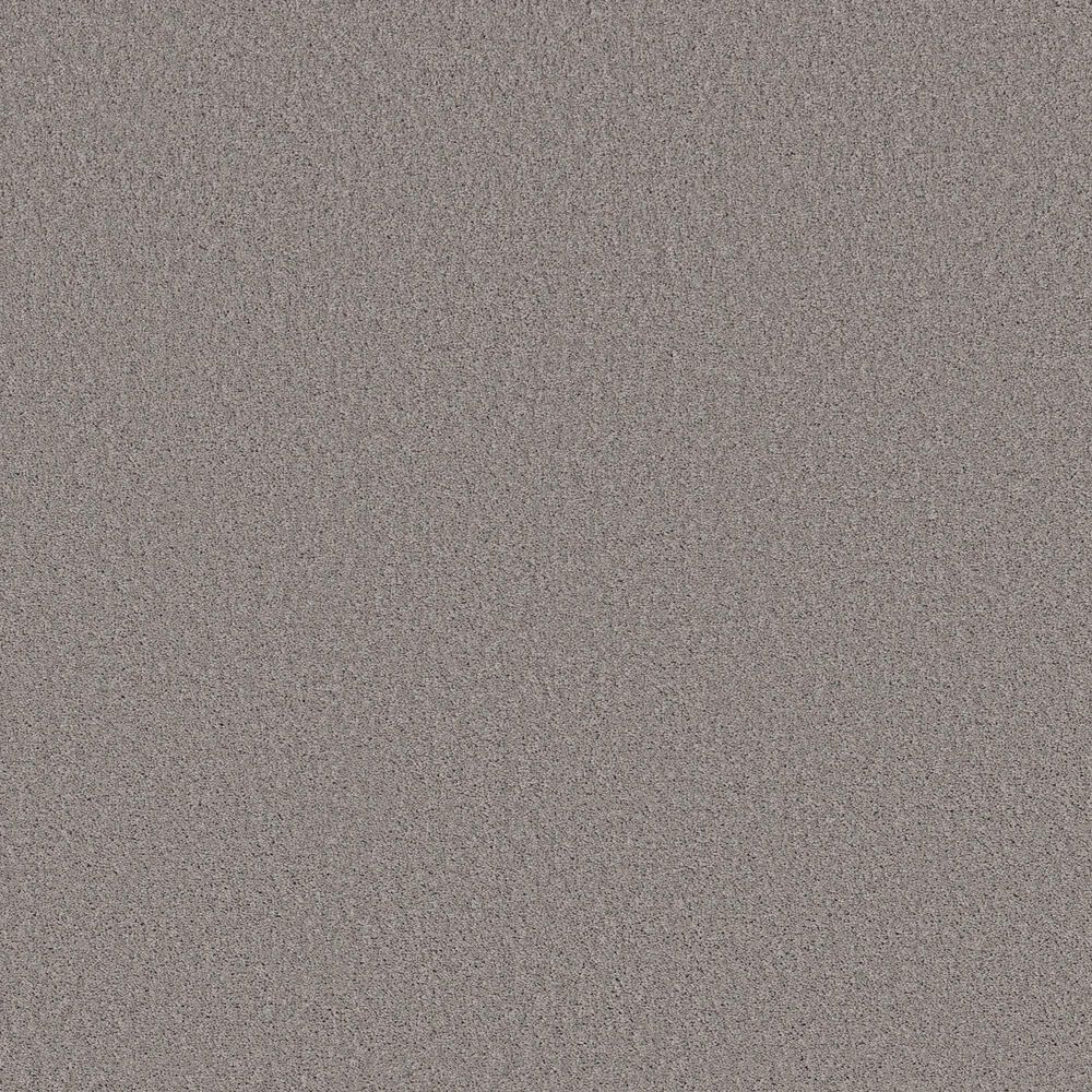 Shaw Las Cruces Carpet in Willow Creek, , large