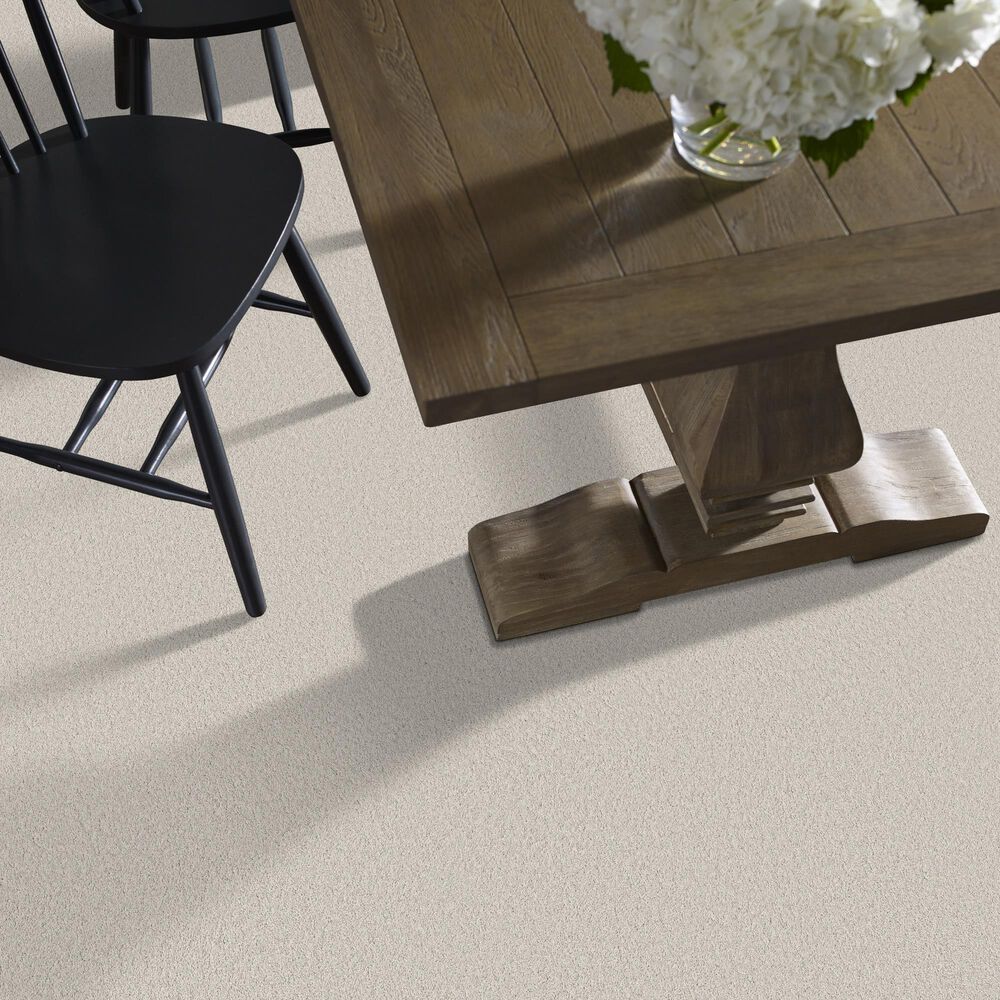Philadelphia Champagne Taste II Carpet in Frozen, , large