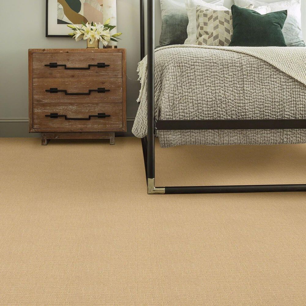 Anderson Tuftex New Tricks Carpet in Cork, , large