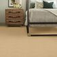 Anderson Tuftex New Tricks Carpet in Cork, , large