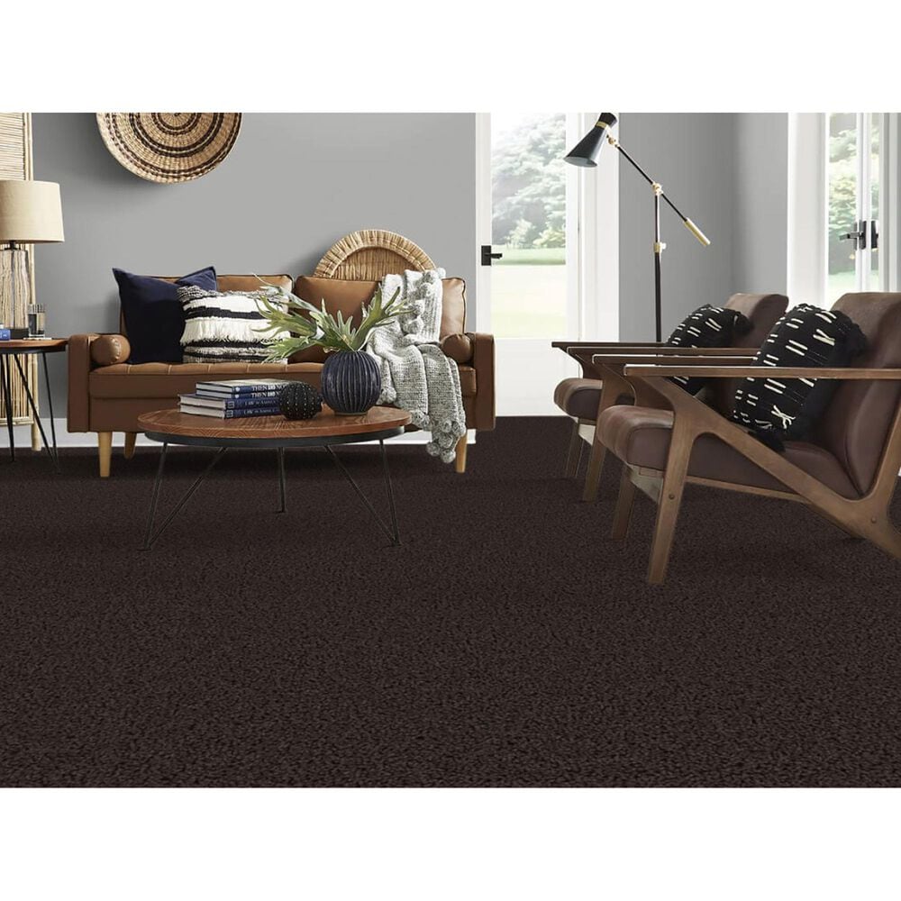 Masland Indulgence Carpet in Black Olive, , large