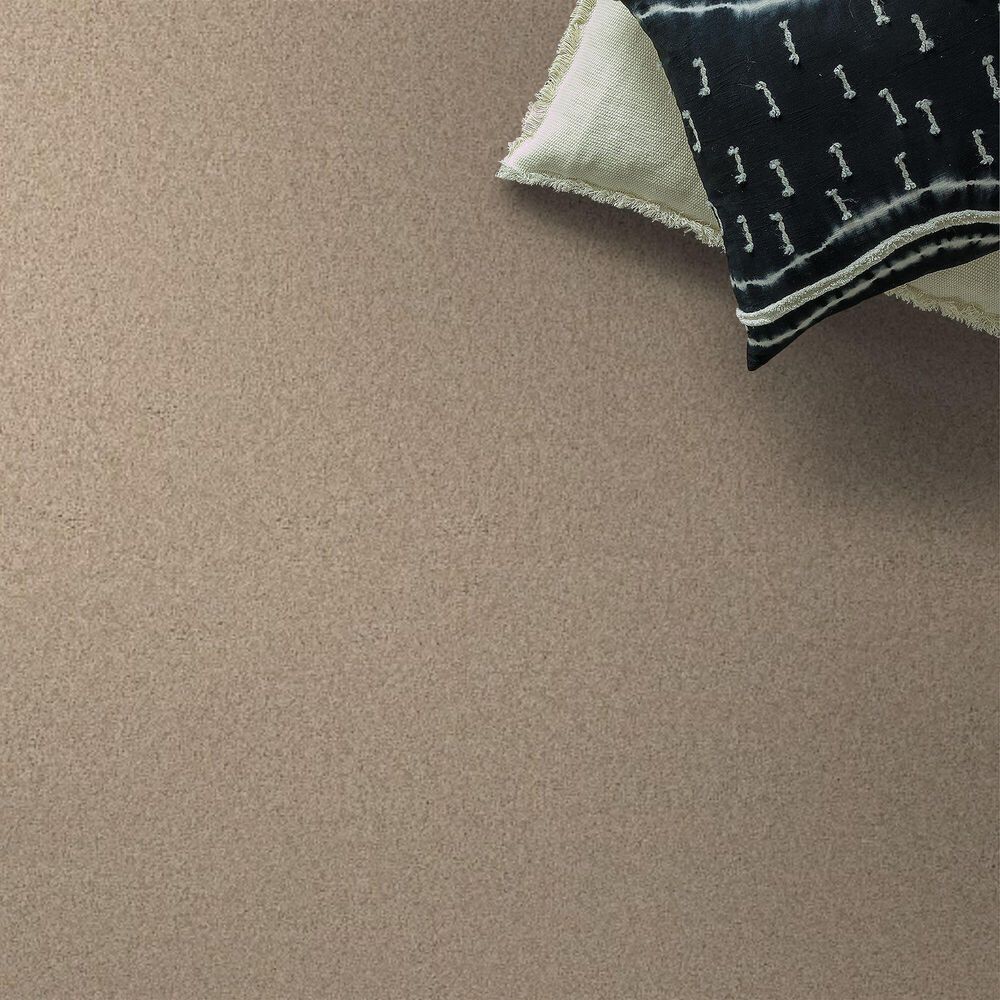 Anderson Tuftex Enchanting Carpet in Buff, , large