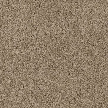 Dixie Home Big Splash Carpet in Walking Path, , large