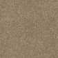 Dixie Home Big Splash Carpet in Walking Path, , large